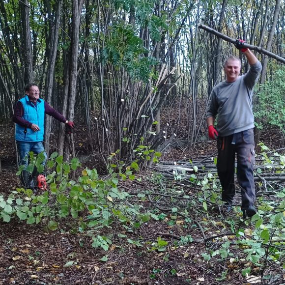 Wycinka drzew i krzewów na szkolnej skarpie