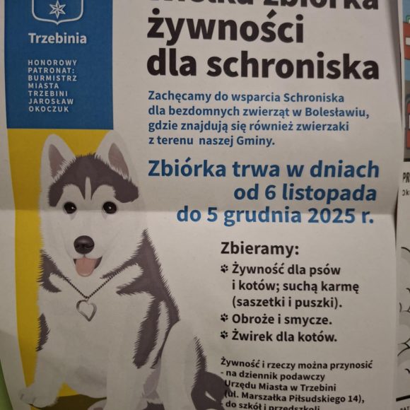 Zbiórka dla schroniska w Bolesławiu